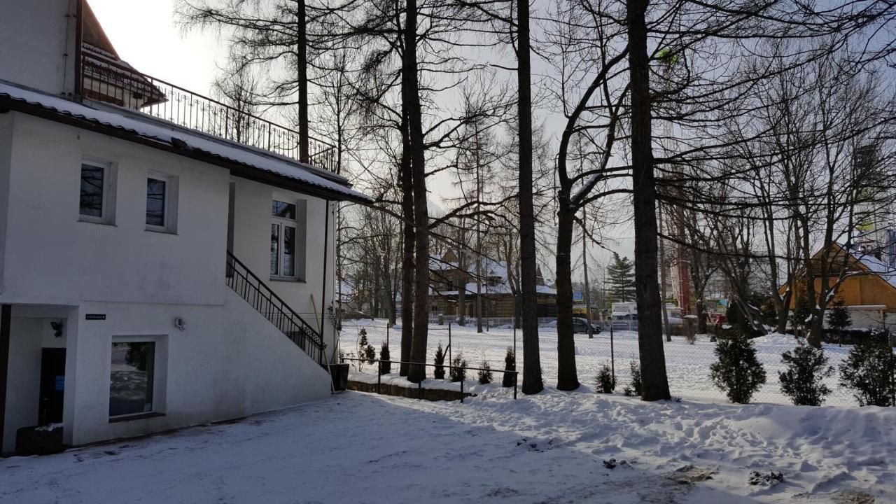 Tatrytop Studio Krupowki Zakopane Bagian luar foto